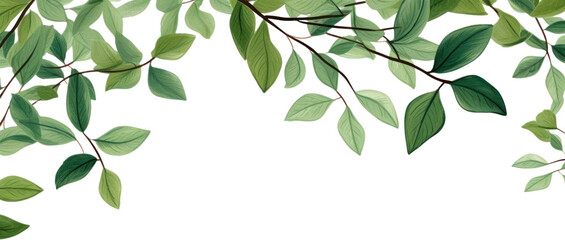 PNG Leaves border backgrounds plant green.
