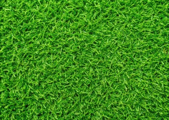 Vibrant Seamless Grass Texture for Backgrounds, Designs, and Natural Landscapes in Various Projects