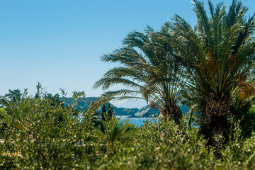 Obraz premium Looking at blue sea with rock islands through palm tee leaves. Island of Crete in Greece, Europe. Lush greenery. 