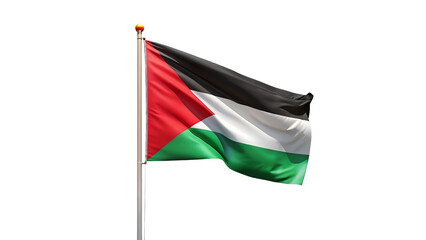 Palestine Flag on a Transparent Background