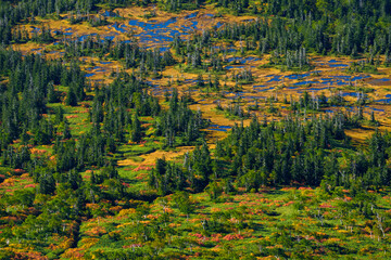 百名山旭岳登山　大雪山旭岳登山道からの紅葉の十勝岳方面の景色