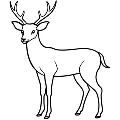 Deer coloring page bold line art illustration