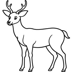 Deer coloring page bold line art illustration