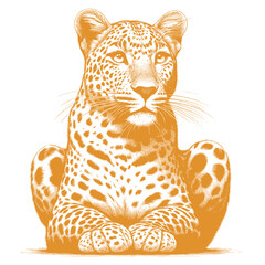 leopard vector