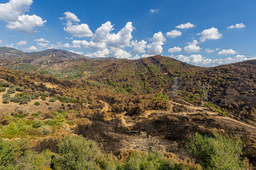 Fototapeta premium The situation after the forest fire in Izmir-Yamanlar Mountain on August 17, 2024.