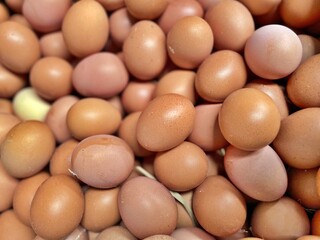 pile of eggs
