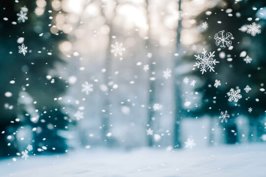 Flocons de neige tombant dans la for&ecirc;t