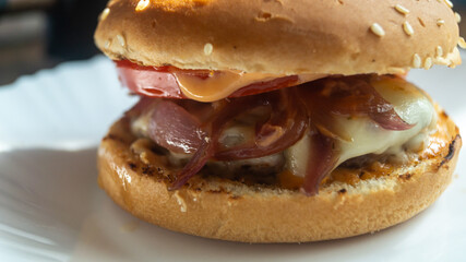 Homemade burger with tomato, cheese and onion close-up on a white plate