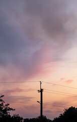 Pink-blue evening sky against the background of trees, roofs and electric wires