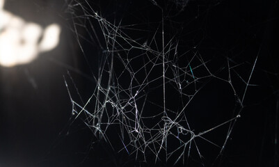 Spider web in sunlight in a dark room