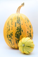 Different varieties of pumpkins on a white background