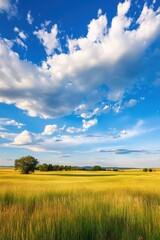Obraz premium Golden fields under a vibrant sky with clouds stretching across the horizon at sunset