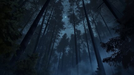 Fototapeta premium A low angle view of a dark, foggy forest at night, with tall trees reaching up to a moonlit sky.