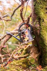 Maison de f&eacute;e en Irlande