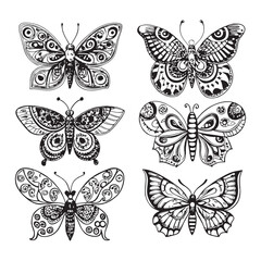 Obraz premium Butterfly coloring book for adults vector