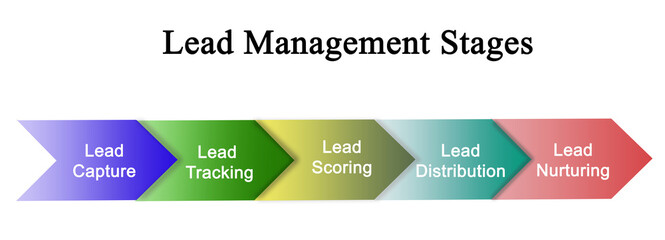 Five Components of Lead Management