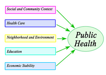 Five Drivers of Public Health