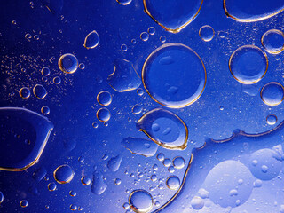 Bubbles on blue background. Abstract oxygen bubble water in sea sponge on blue background.Blue...