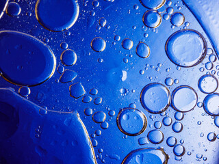 Bubbles on blue background. Abstract oxygen bubble water in sea sponge on blue background.Blue...