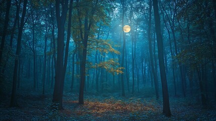 Fototapeta premium A full moon shines through the trees in a misty forest.