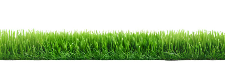 Fototapeta premium green grassland landscape isolated on white