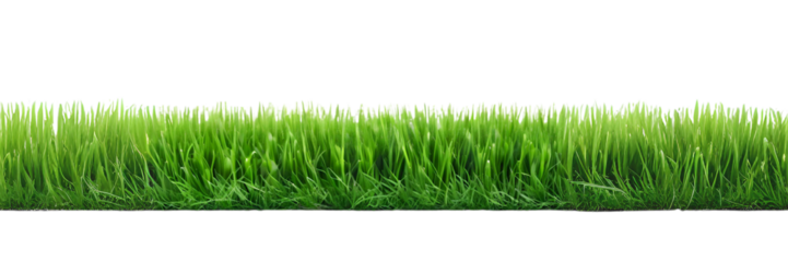 green grassland landscape isolated on white