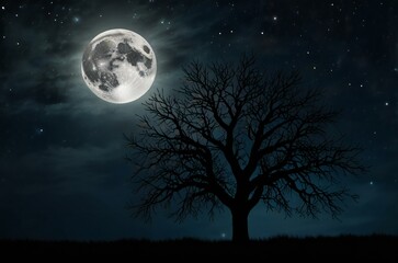 Fototapeta premium night sky with moon and tree