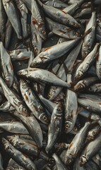 Fototapeta premium pile of freshly caught silver fish on ice at the market, texture of seafood background, freshness and the ocean's bounty creative backdrop