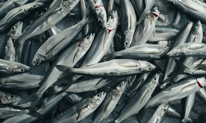 Fototapeta premium pile of freshly caught silver fish on ice at the market, texture of seafood background, freshness and the ocean's bounty creative backdrop
