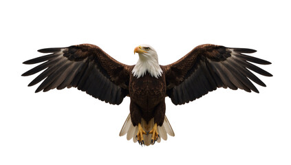 Obraz premium Eagle isolated as a transparent PNG file