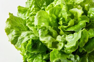 Close up of a head of lettuce with vibrant green leaves forming an appealing texture, ideal for food or healthy lifestyle themes