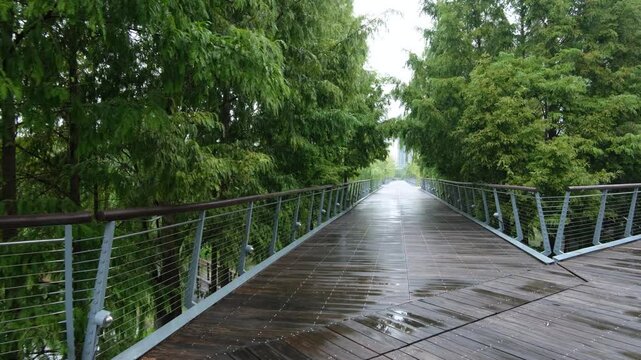 An elevated wooden boardwalk in an urban park, splitting into two paths surrounded by lush trees. Some modern high-rise buildings in the background.A peaceful and refreshing atmosphere. 