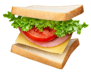 Delicious sandwich with layers of ingredients