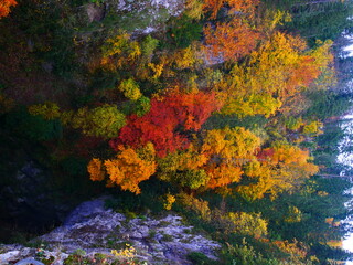 Colorful forest during autumn day in Macocha cave with colorful foliage