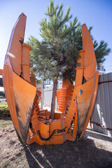 Planting of tree using tree spade specialized machine for transplanting and transport trees