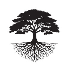 Tree silhouette. Big tree vector silhouette design. Tree with root vector illustration. Tree logo, icon black and white. Oak tree vector design.