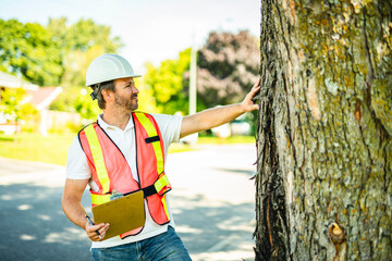 man holding a clipboard, inspect tree