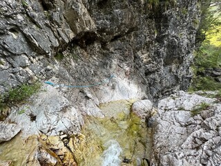 The Predelica stream and waterfalls, Log pod Mangartom (Triglav National Park, Slovenia) - Der Predelica-Bach und die Wasserfälle (Triglav-Nationalpark, Slowenien) - Potok Predelica in slapovi