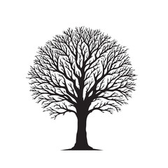 Obraz premium Tree silhouette. Big tree vector silhouette design. Tree with root vector illustration. Tree logo, icon black and white.