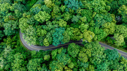 Aerial top view of road in forest.Winding road through the forest.Ecosystem ecology healthy environment road trip. Forest ecosystem and health concept and background, texture of green forest.