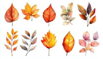 Obraz premium Watercolor Autumn Clipart Collection, vibrant fall leaves, cozy pumpkins, seasonal elements, perfect for crafts and designs