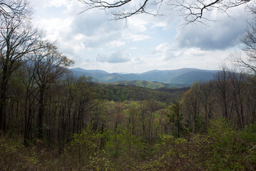 A panoramic view of the Smoky Mountains, showcasing the rolling hills and tree-covered valleys under a cloudy sky.