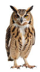 Obraz premium An owl is depicted in isolation as a transparent PNG file Original A digital illustration featuring an owl perched alone on a transparent background
