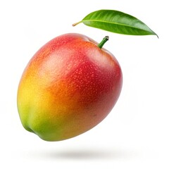 Fototapeta premium red and yellow apples