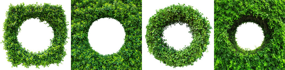 Set of lush green leaves forming natural round frames, cut out