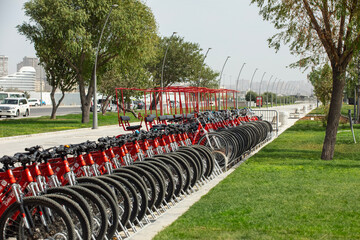 Urban Bicycle Rental Station Featuring Parked Bikes Available for Public Use and Recreation