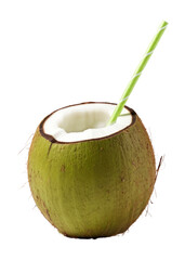 PNG Coconut fruit plant green.