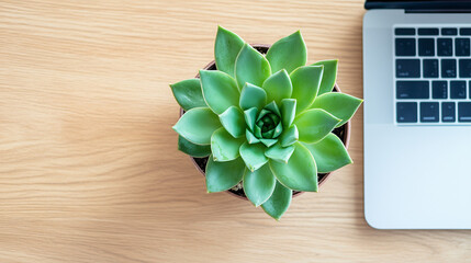 Top-down view of a minimalist home office desk. Laptop, notebook, and a single potted succulent neatly arranged on a clean, light wood surface