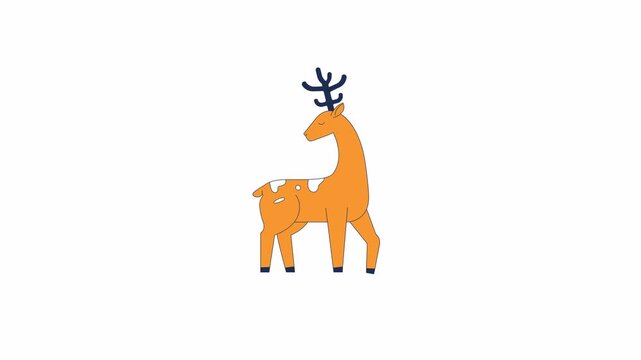 Gracious reindeer figure snow covered 2D character animation. Wild animal deer with antlers cartoon 4K video, alpha channel. Nodding stag stomping foot mammal animated animal on white background