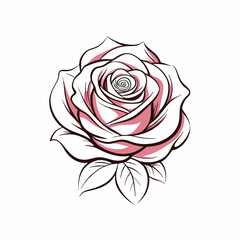 a rose outline vector, isolated on white background 